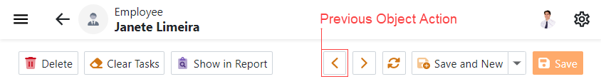 Records Navigation Controller Previous Object Action in ASP.NET Core Blazor, DevExpress