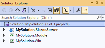 Solution Explorer view