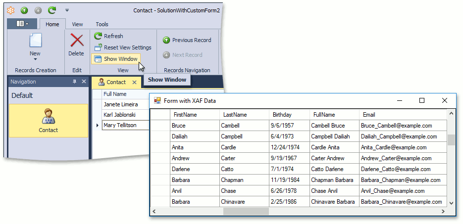 CustomWindowWithXAFData