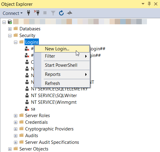 DevExpress XAF - Add IIS AppPool Identities as SQL Server Logons