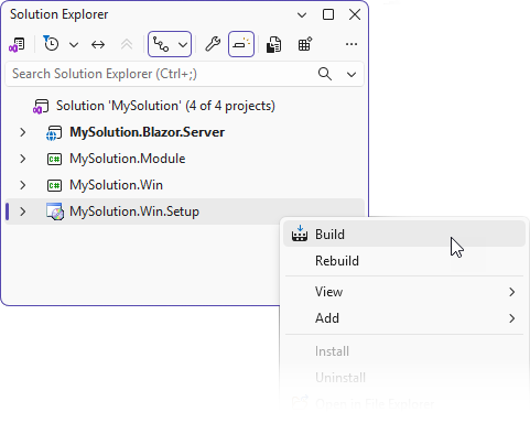 Build setup project menu item