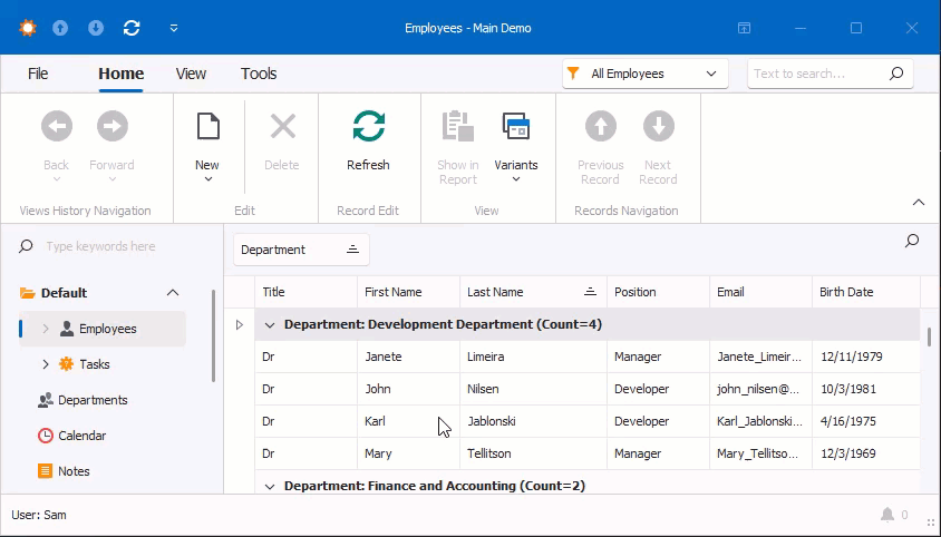 XAF Windows Forms SDI, DevExpress