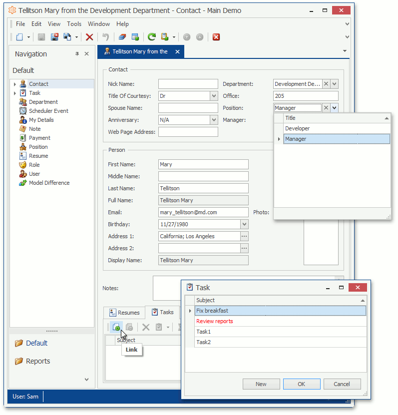 XAF Windows Forms Lookup Property Editor and Link Popup Window, DevExpress