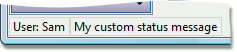 HowToCustomizeStatusCustom1