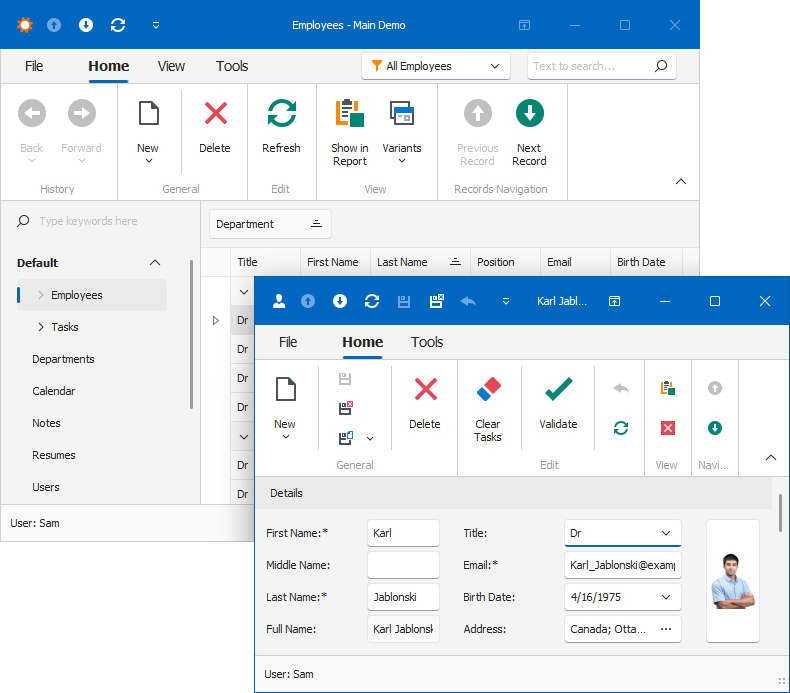 XAF Windows Forms MultipleWindowSDI, DevExpress