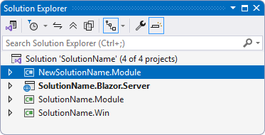 New module in the solution