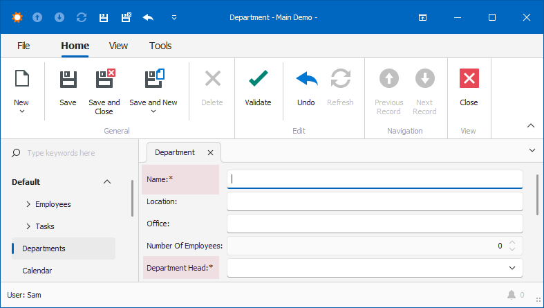 XAF Windows Forms Required Field Mark, DevExpress