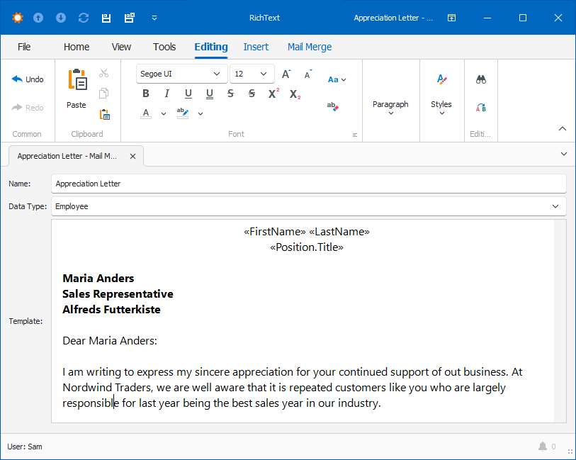 A document template in a WinForms application