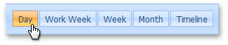 SchedulerListEditor_Web_ViewSelector