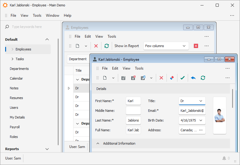 XAF Windows Forms StandardMDI, DevExpress