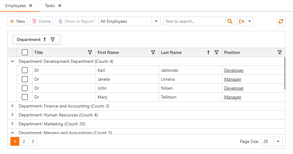 XAF ASP.NET Core Blazor Detail Form Template, DevExpress