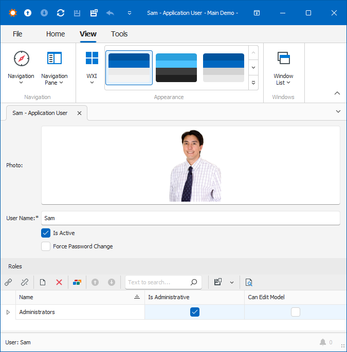 A Detail View in an XAF Windows Forms application, DevExpress