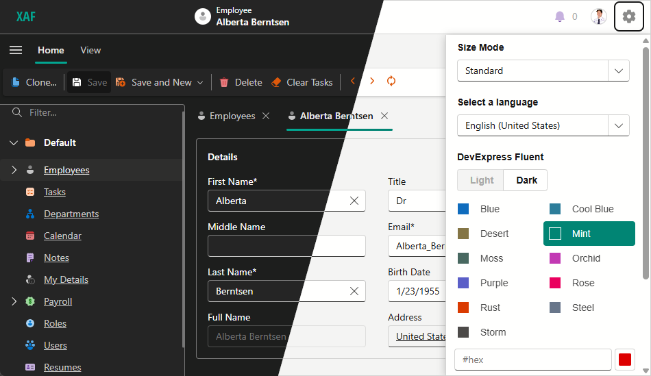 XAF ASP.NET Core Blazor Application Built-In Themes, DevExpress