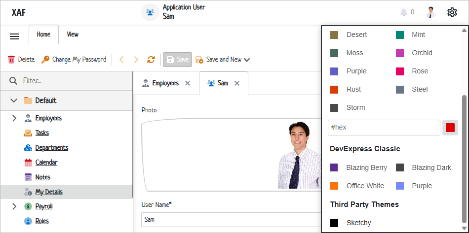 XAF ASP.NET Core Blazor Application With a Custom Bootstrap Theme, DevExpress