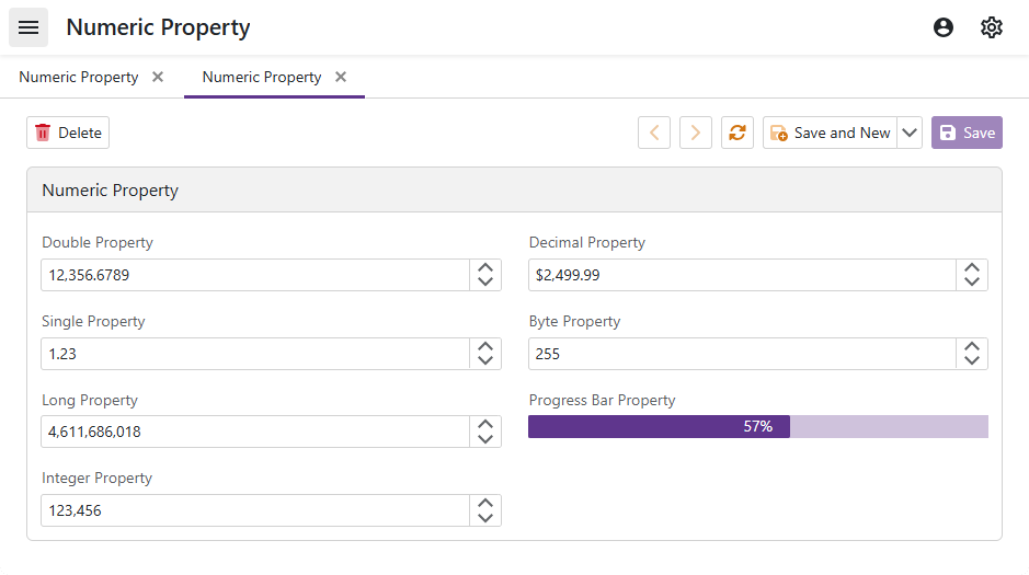 XAF ASP.NET Core Blazor Numeric Property Editors in Detail View, DevExpress