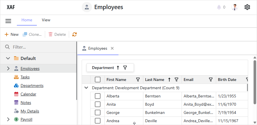 An XAF application with the Standard icon set