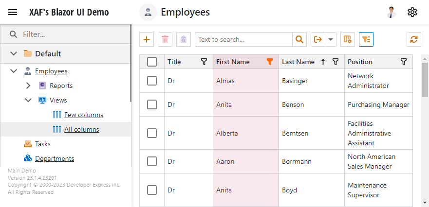 ASP.NET Core Blazor XAF ListView Filter, DevExpress