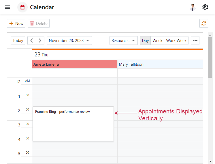 XAF ASP.NET Core Blazor Customized Vertical Appointment Template, DevExpress