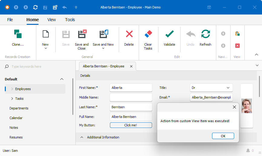 XAF Windows Forms, Information Message on Button Click, DevExpress