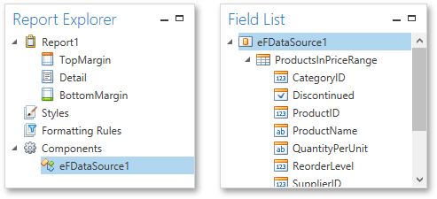 EUD_WpfReportDesigner_EFDataSource