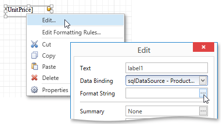 EUD_WpfReportDersigner_Formatting_1