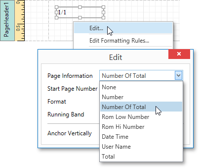 EUD_WpfReportDesigner_PageInfo_2