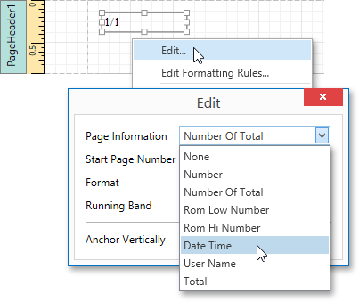 EUD_WpfReportDesigner_PageInfo_5