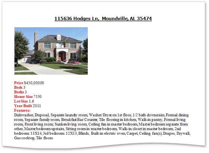 EUD_WpfReportDesigner_StaticReport_Result