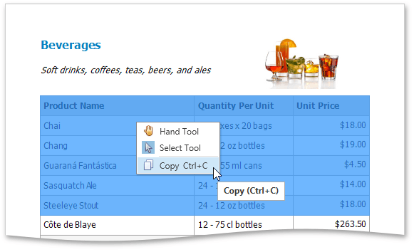 EUD_WpfPrintPreview_Copying2